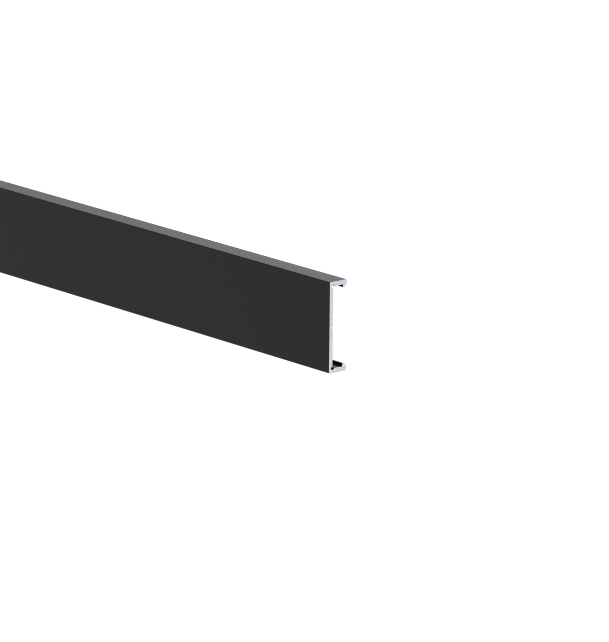 Aluminiowy listwa elewacyjna 25x6-6000mm R9005