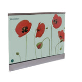 Balustrada całoszkalna 2500x1000mm